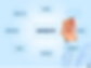 Expert UI/UX Developers and Designers in Hyderabad"